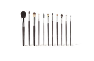 11-Piece Complete Brush Set