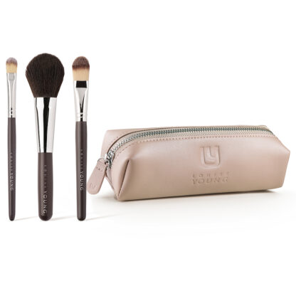 6 piece brush set with case(brown)