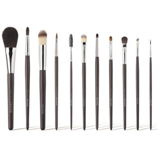 11-Piece Complete Brush Set