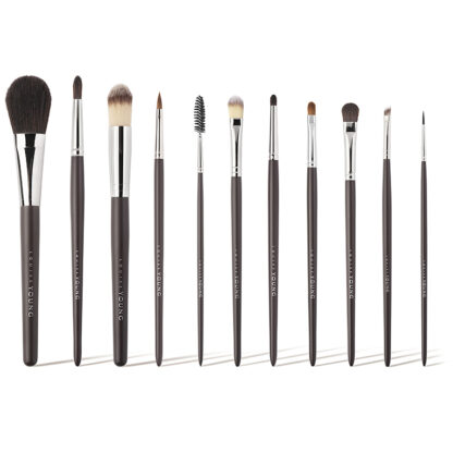 11-Piece Complete Brush Set